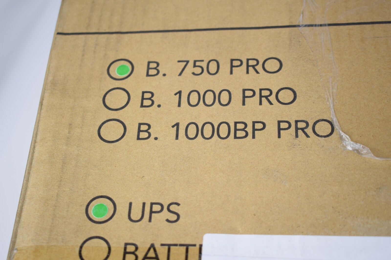 AEG Protect B. PRO B. 750 PRO mit Batterie 